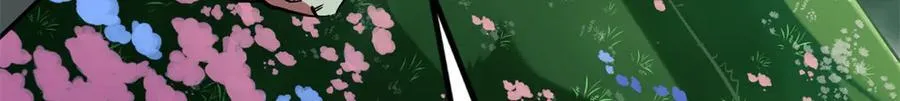 293 奇花 第67页