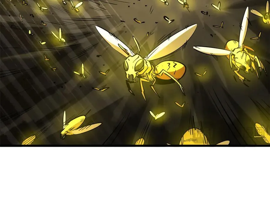 293 奇花 第80页