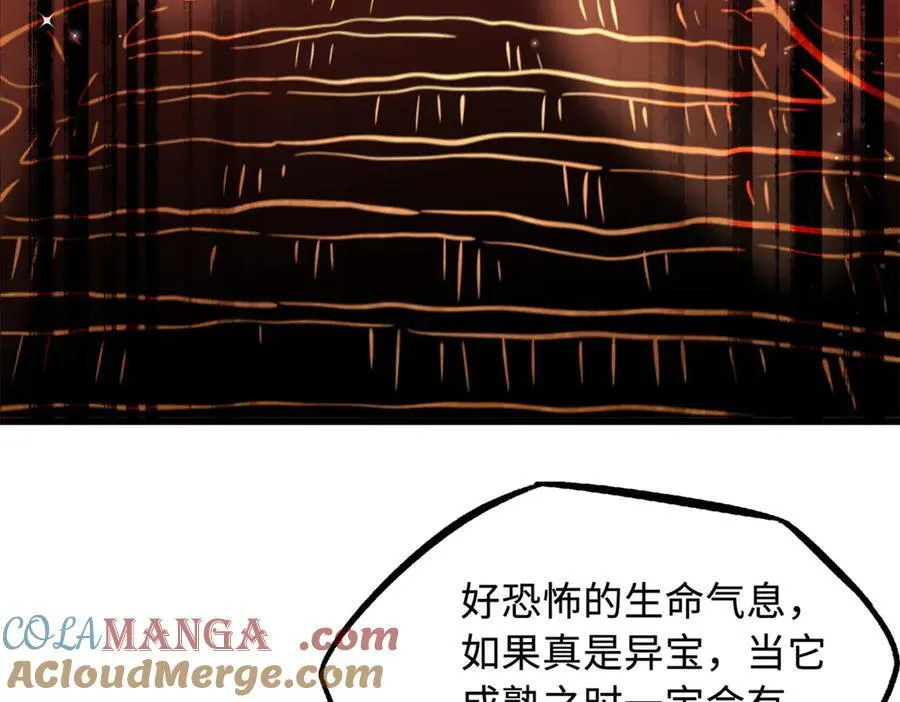 293 奇花 第97页