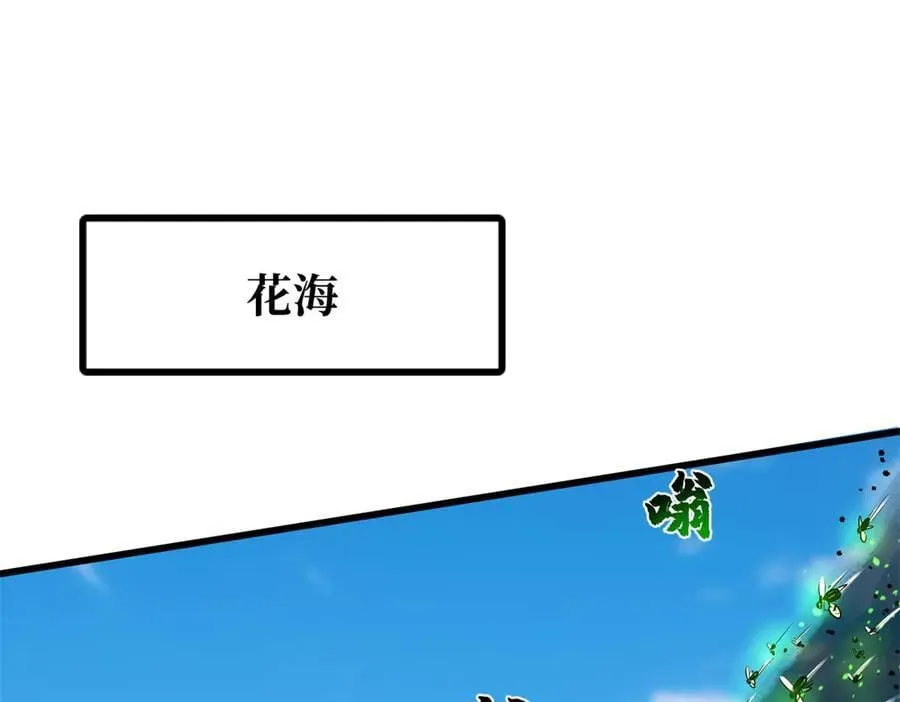 294 鬼眼蜘蛛兽魂 第43页