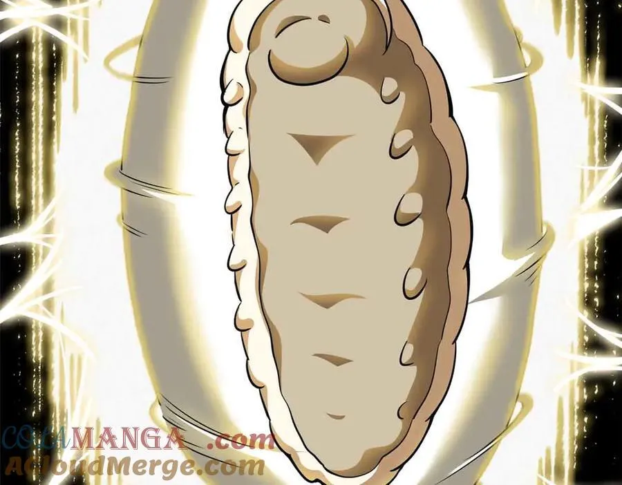 296 银翅仙蝶 第13页