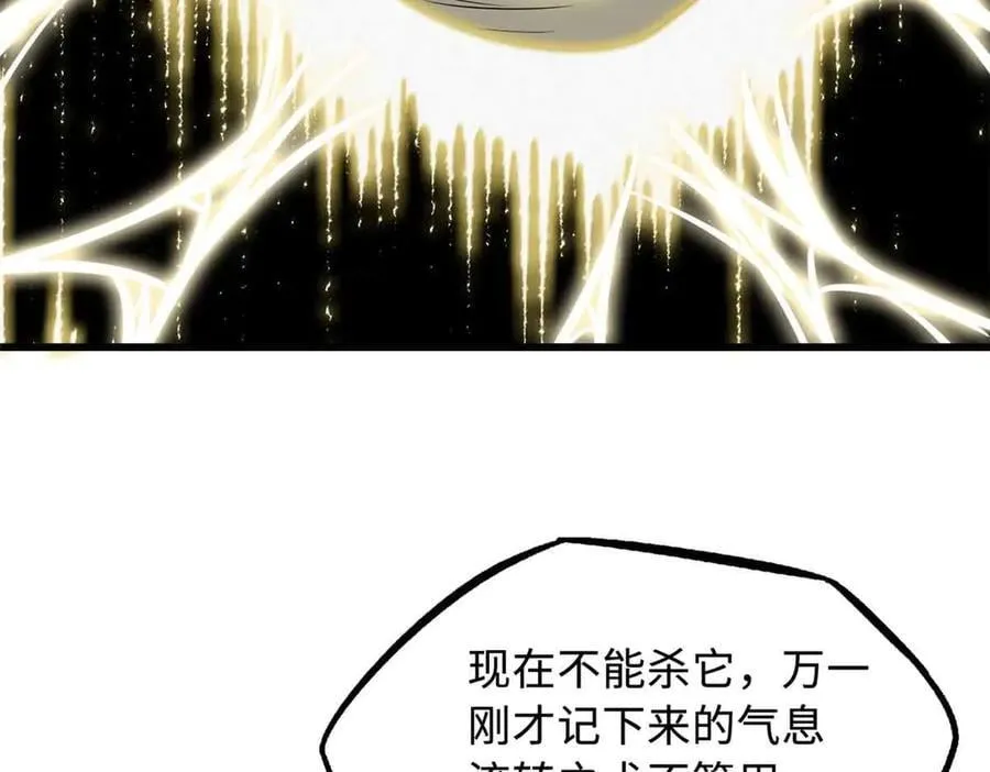 296 银翅仙蝶 第15页