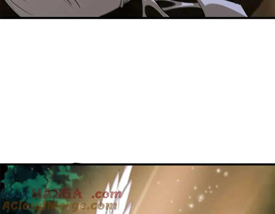 296 银翅仙蝶 第25页