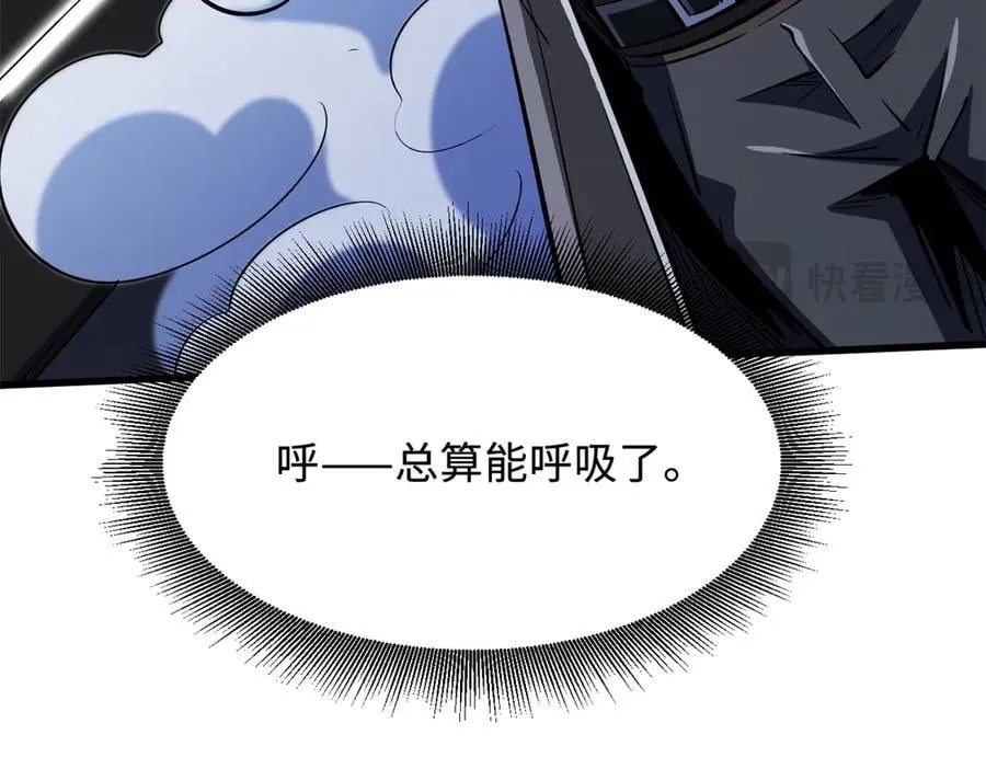 332 宠物丹 第14页