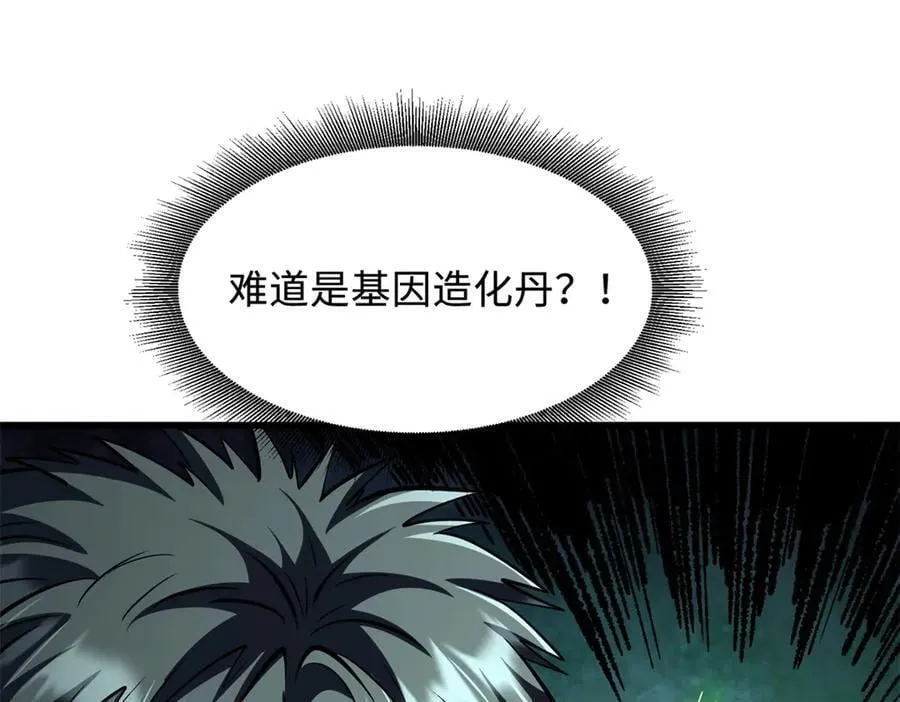 332 宠物丹 第22页