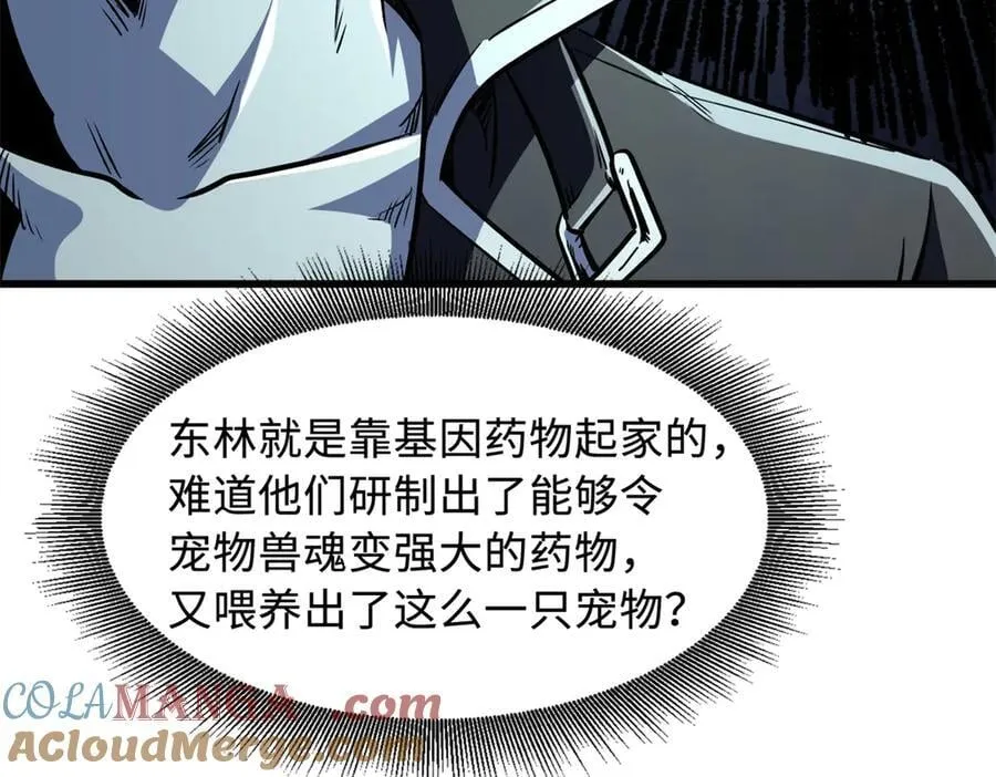 332 宠物丹 第25页