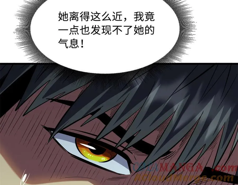 346 基因种子 第45页