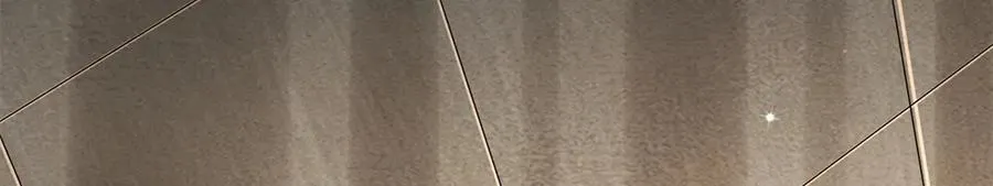 365 一场告别 第39页