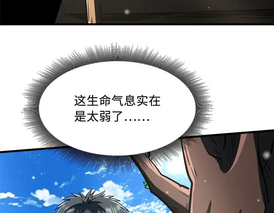 369 枯木逢春 第84页