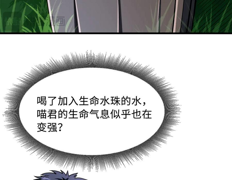 371 生命的机密 第55页