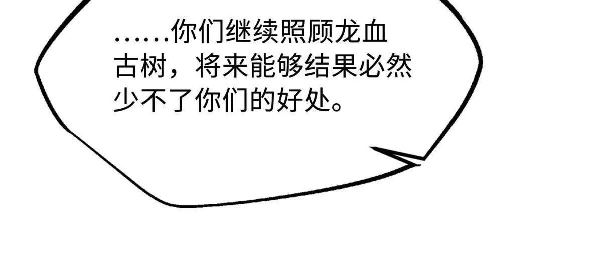 374 我的龙血古树 第63页