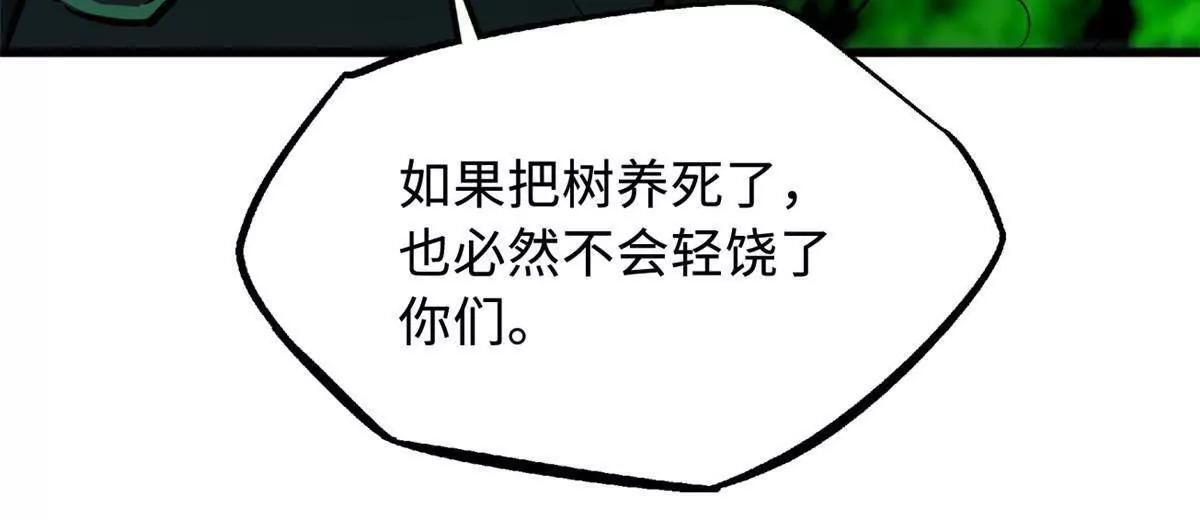 374 我的龙血古树 第77页