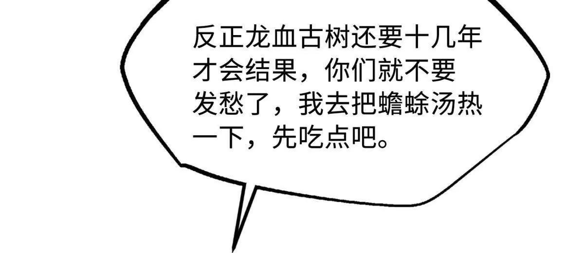 374 我的龙血古树 第93页