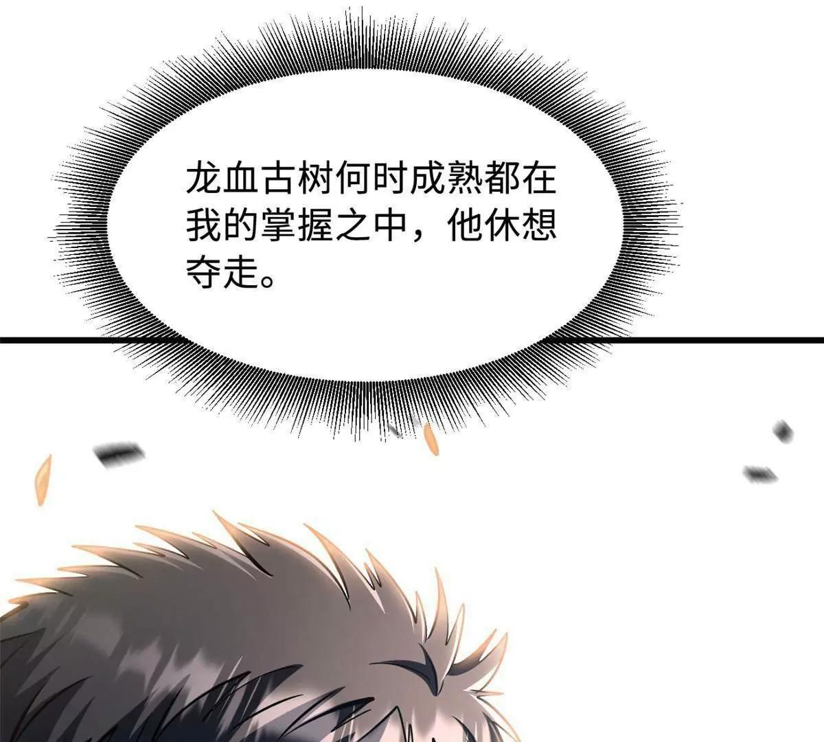 374 我的龙血古树 第104页