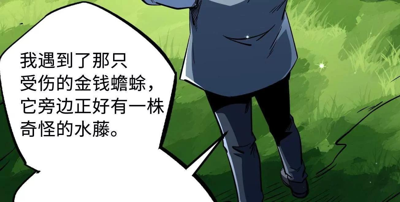 377 不可驯服的疾风兽 第38页