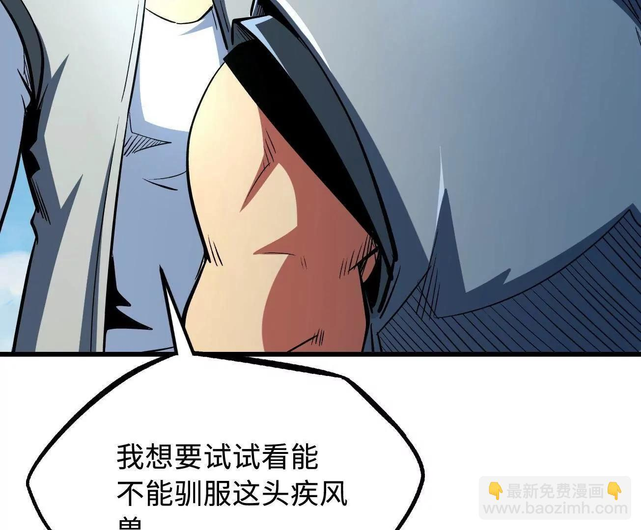 377 不可驯服的疾风兽 第41页
