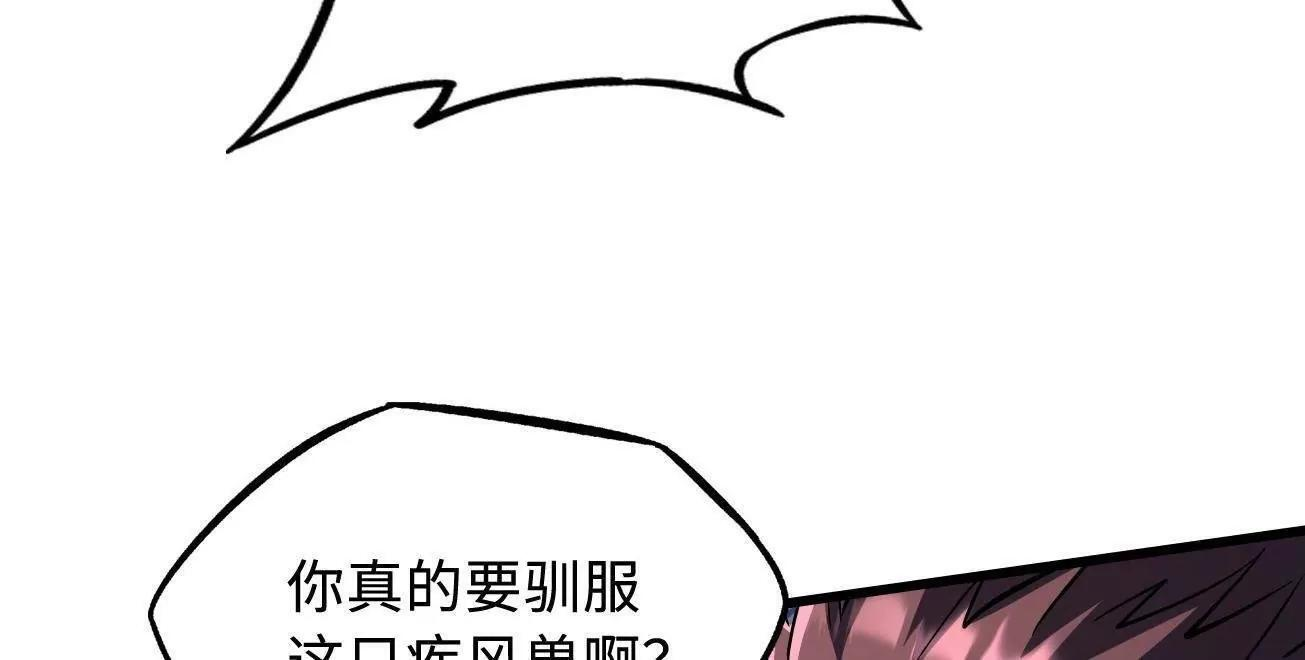 377 不可驯服的疾风兽 第51页