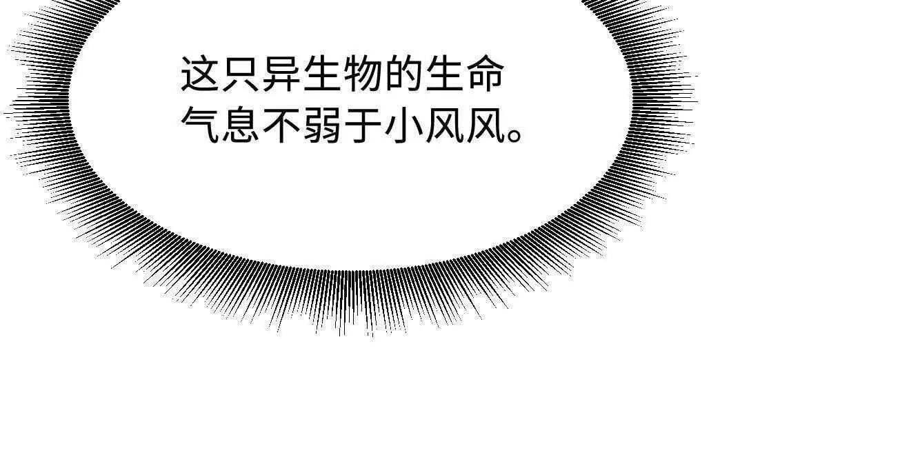 378 小风风 第87页