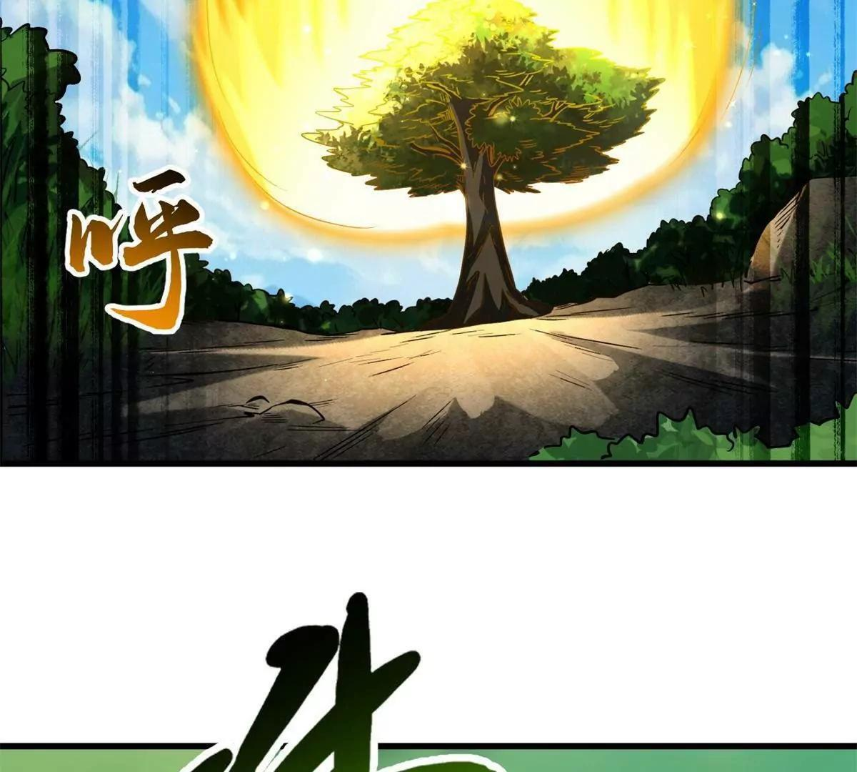 387 荆棘中的大树 第28页