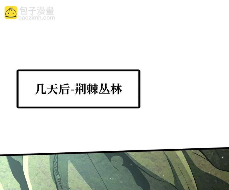 405 骑士树 第25页