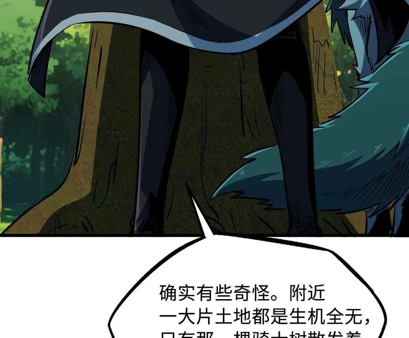 405 骑士树 第67页