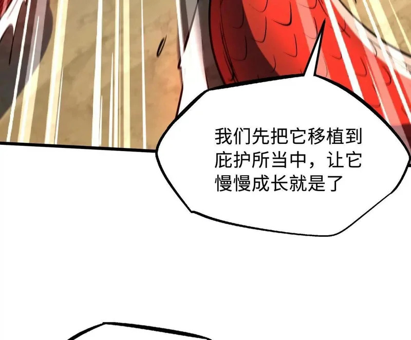 405 骑士树 第141页