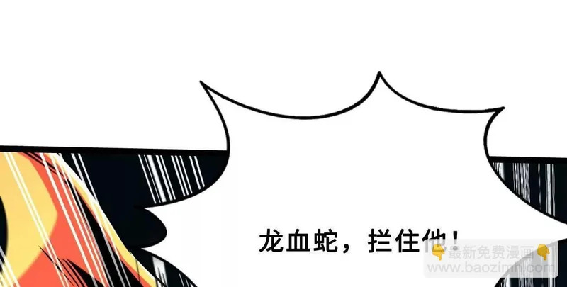 425 白蛟脱困 第41页