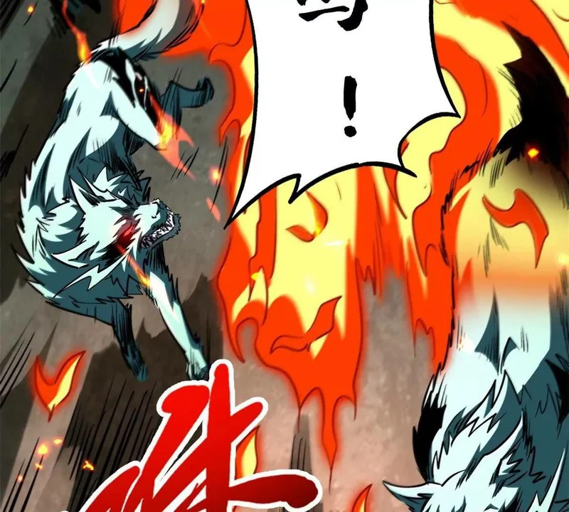 435 真正的狼王 第69页
