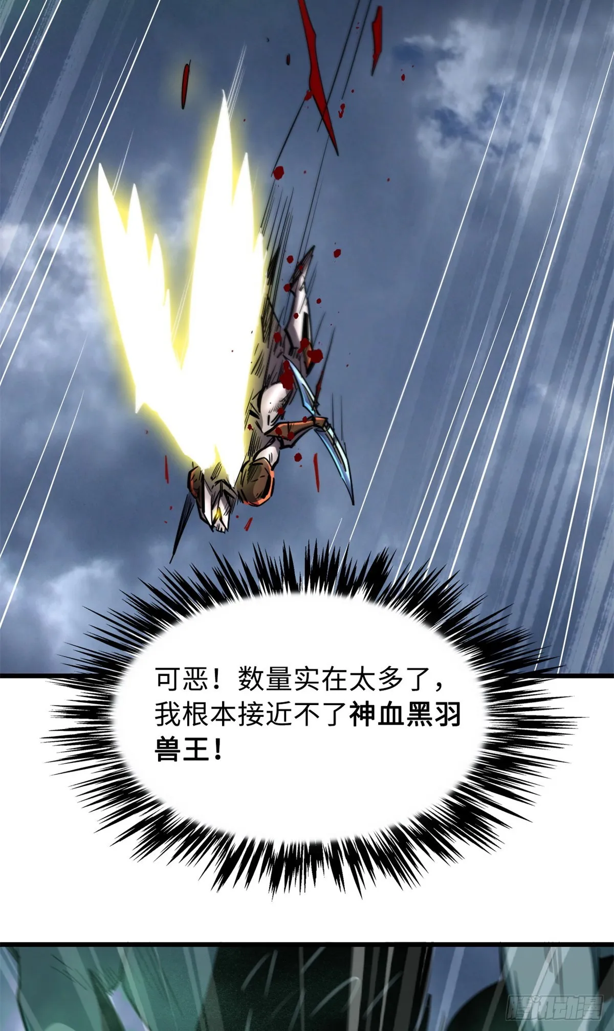 73 神血黑羽兽王 第12页