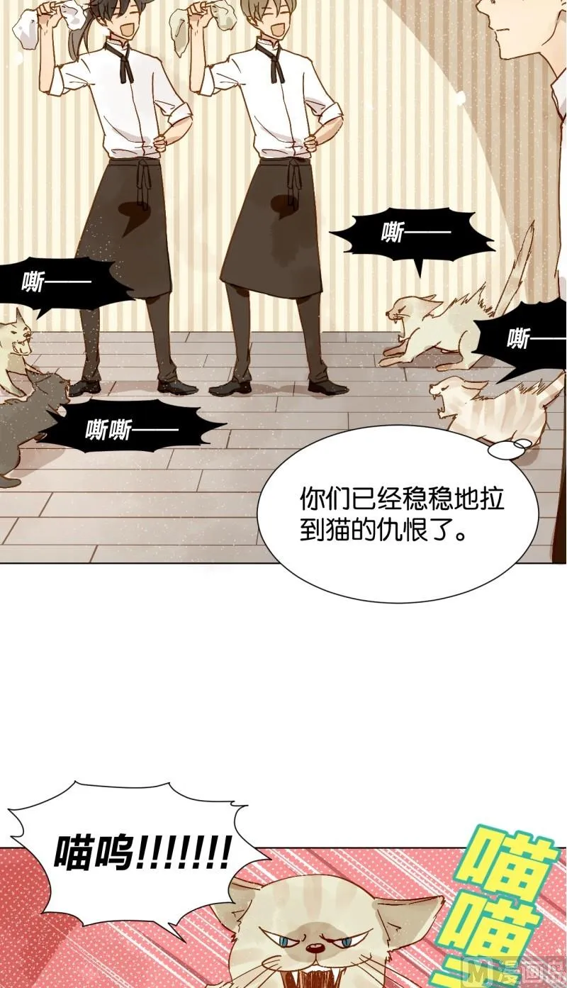 第08话 人猫大战 第6页