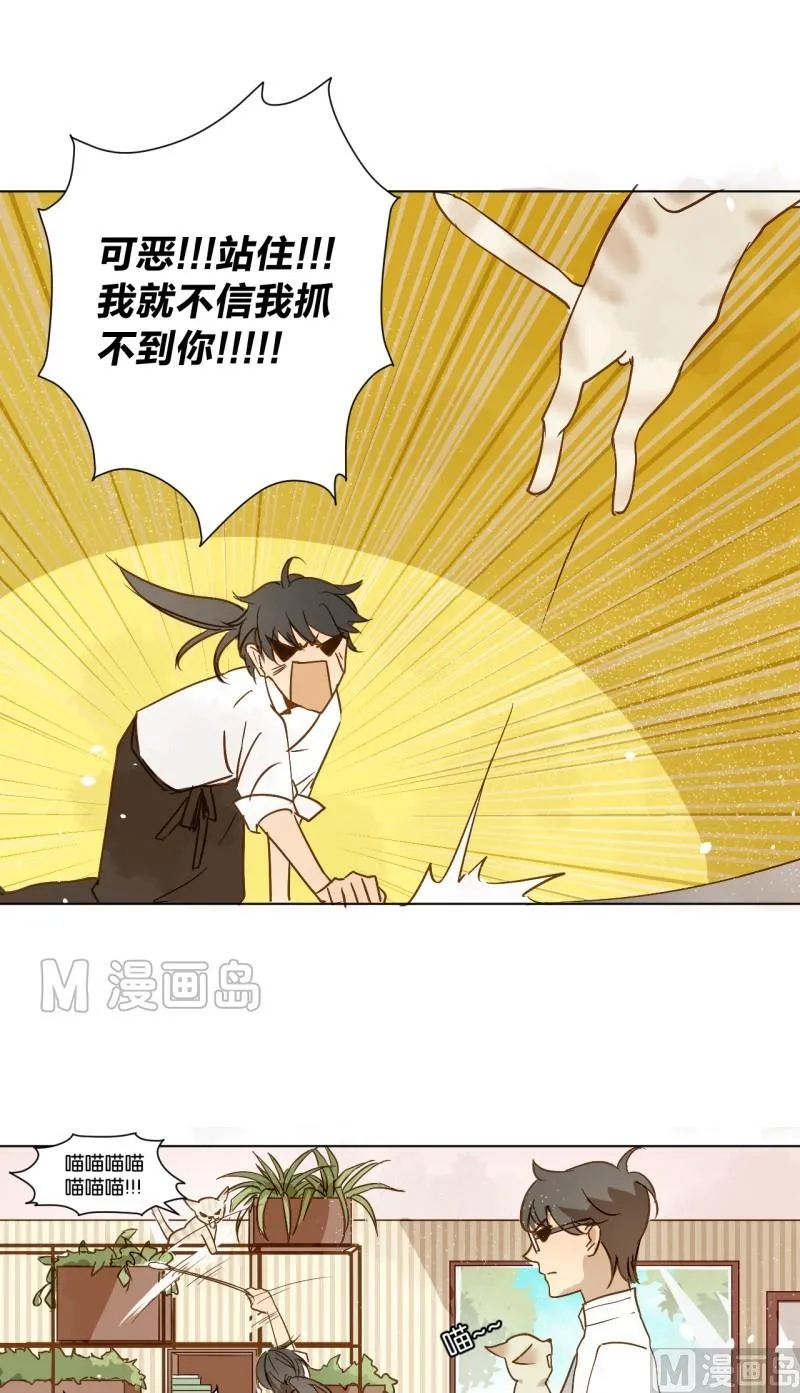 第08话 人猫大战 第8页