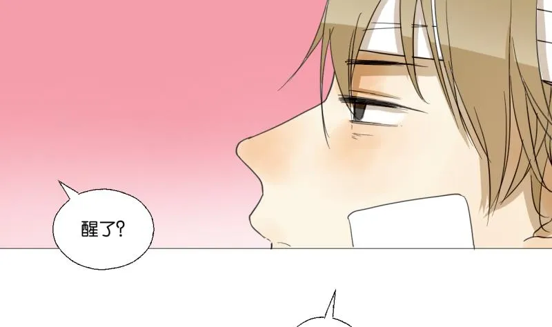 第48话 受伤的需静养 第4页