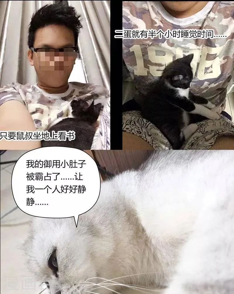 第14话 第12页