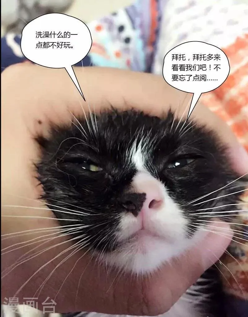 第15话 第11页