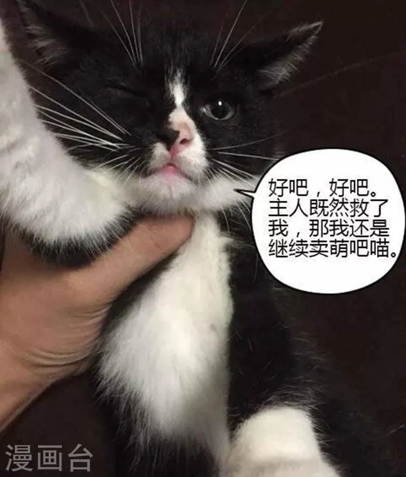 第23话 第11页