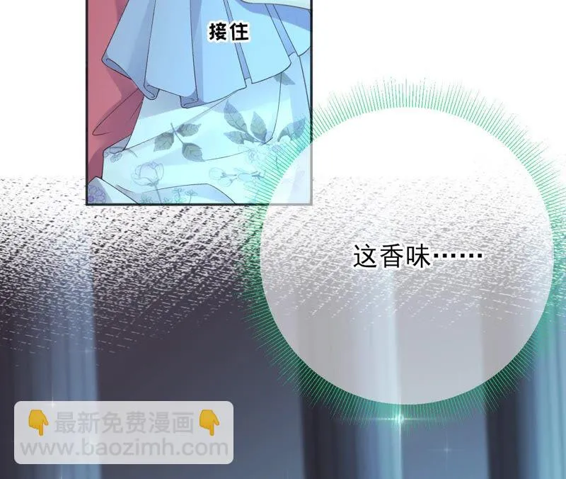 第61话：《群芳谱》为何选择你 第26页