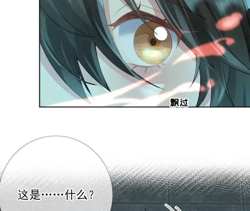 第61话：《群芳谱》为何选择你 第35页