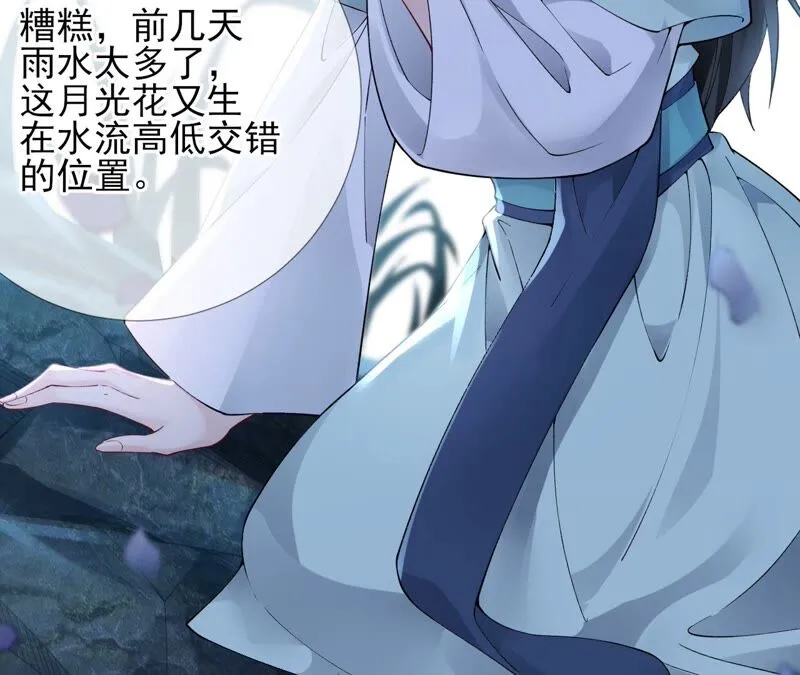 第65话：国师的花之真名 第43页