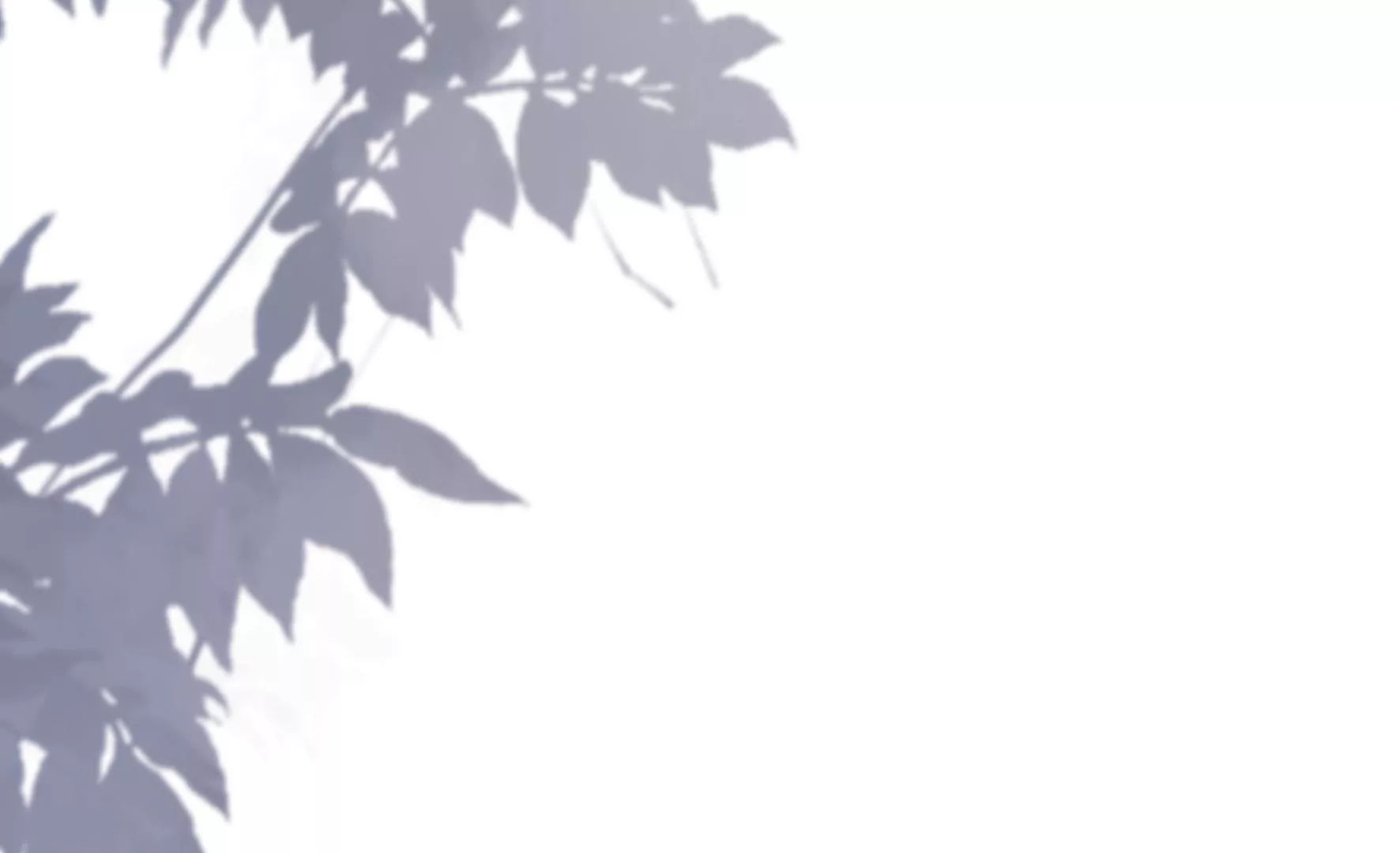 第81话：新婚贺礼签收一下？ 第33页