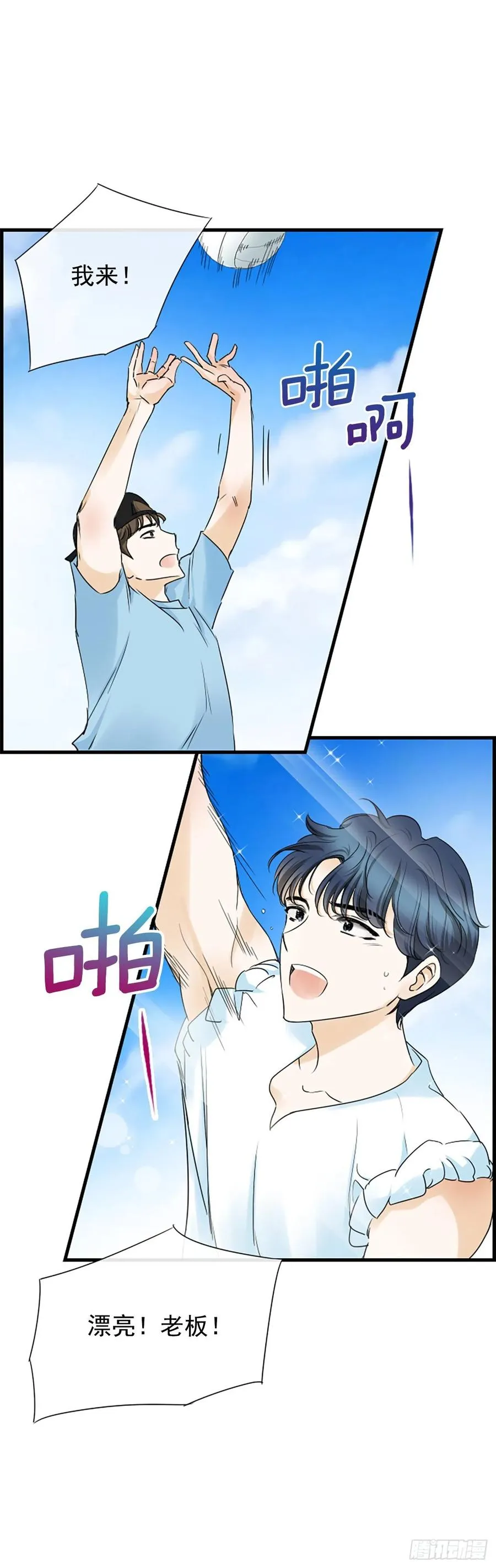 36.排球 第50页