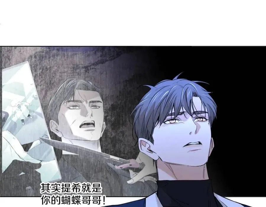 第一季完结篇夜蝴蝶的葬礼 第38页