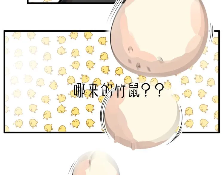 第18话 出现了！竹鼠 第28页
