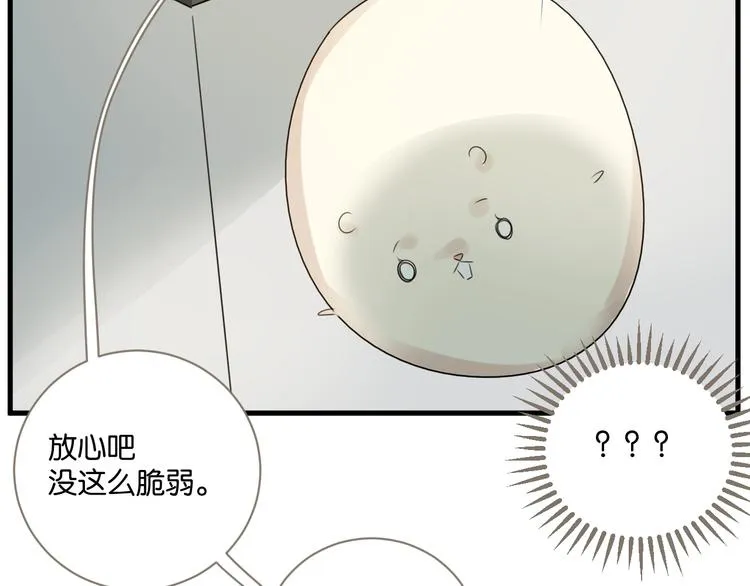 第18话 出现了！竹鼠 第37页