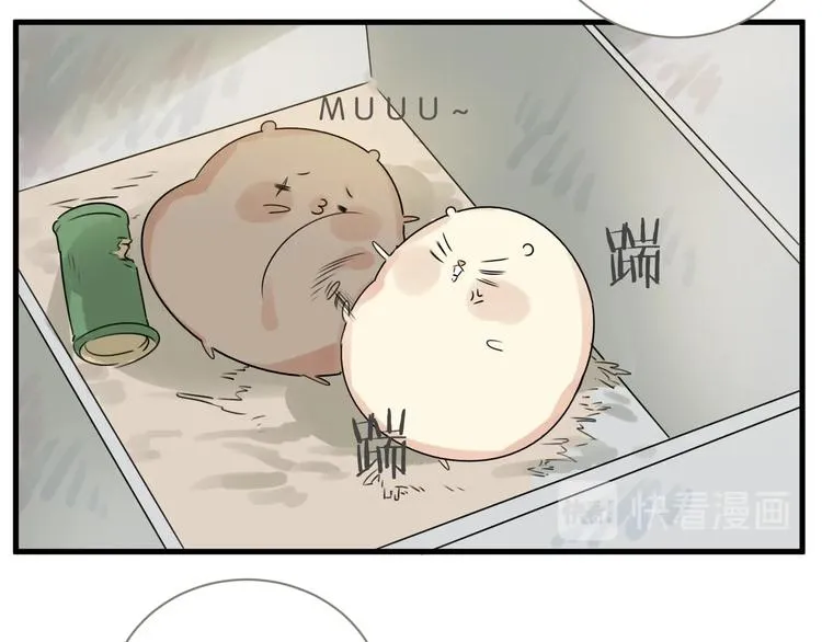 第18话 出现了！竹鼠 第62页