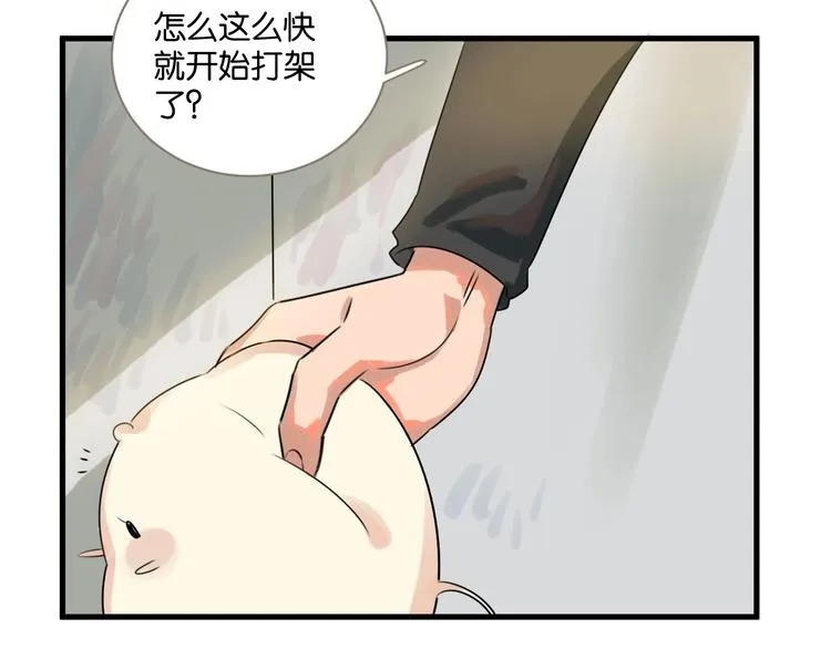 第18话 出现了！竹鼠 第63页