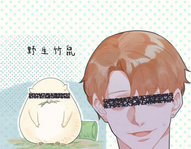 序章 土味总裁x竹鼠主播 第5页