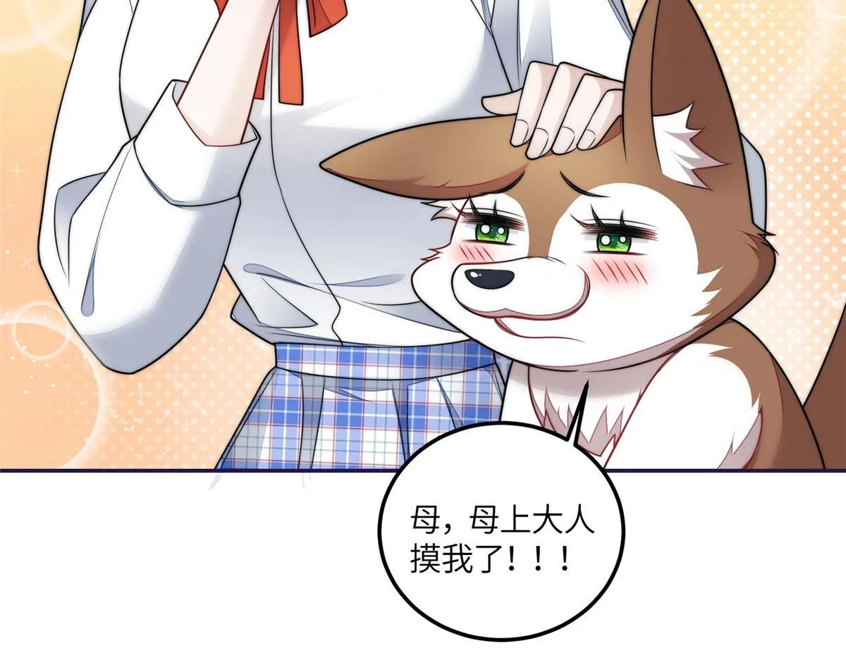 75 拍卖会开始 第11页