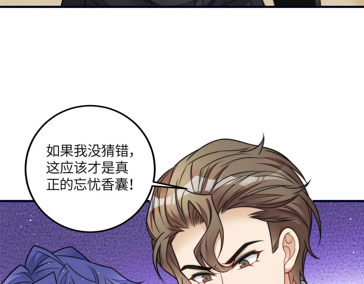 78 真的忘忧香囊 第73页