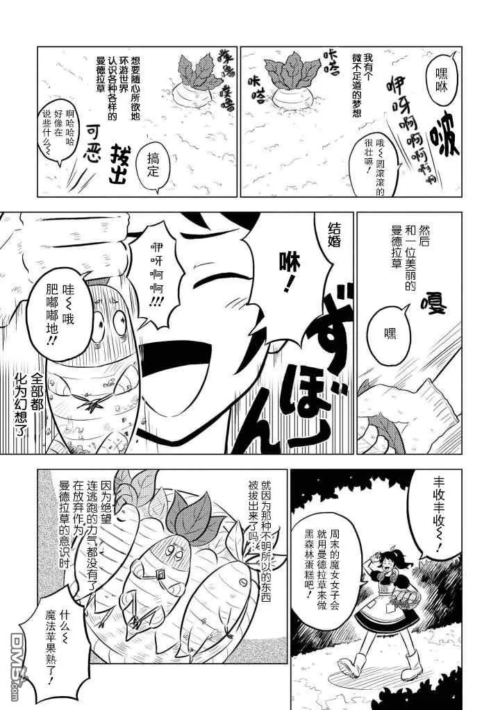 魔女苏与小曼德拉草 第5页