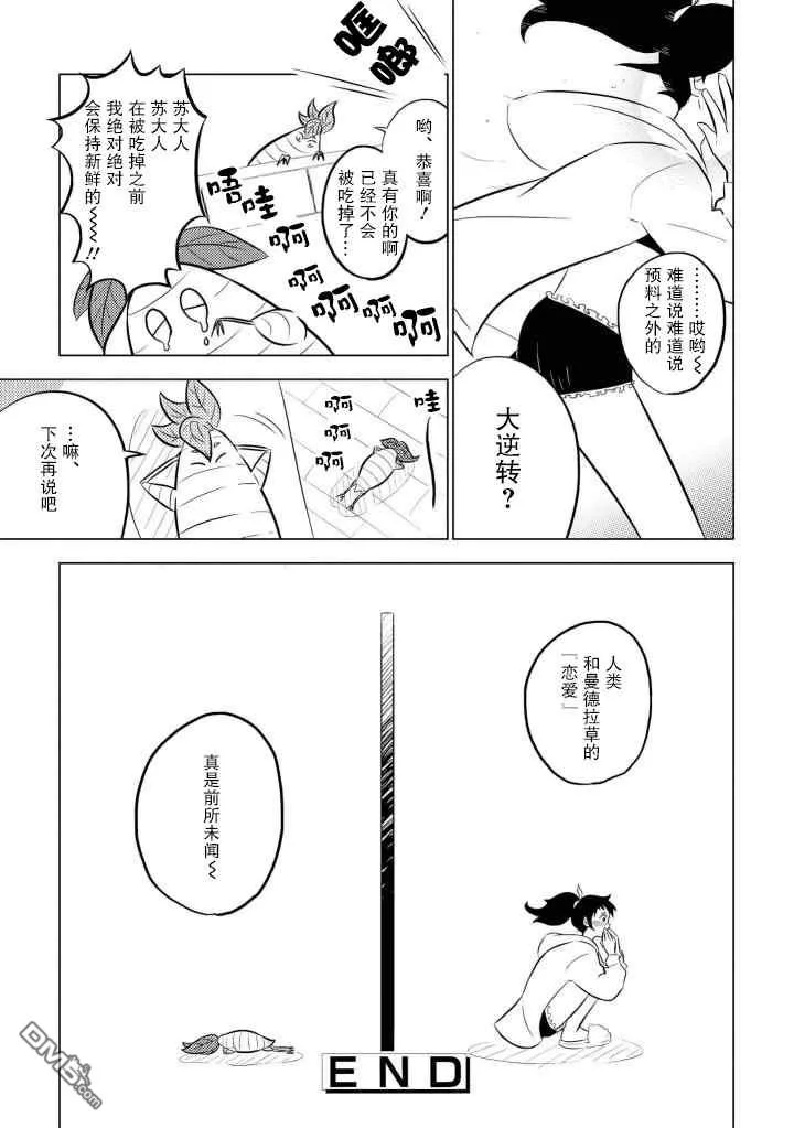 魔女苏与小曼德拉草 第21页
